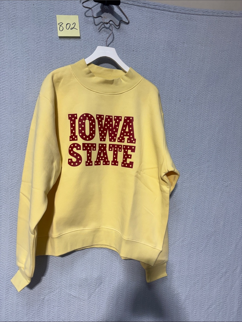 Iowa state large sweatshirt